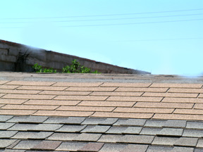 missingshingles.jpg
